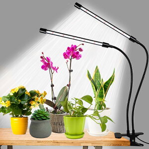 CgA84 LED fAwbhNbvACgAtXyNgAtLVuO[XlbNA3/6/12ԃ^C}[AI/ItA6iK\ ( zCg+bh)