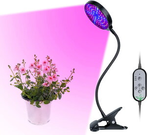 Cg ALED Cg USBvO 300Wẑ悤Ȍ tXyNg LED X^h360°߉\ 24ԃTCNƖ 5iK PxCg A̔̕ɏƂ炳܂  