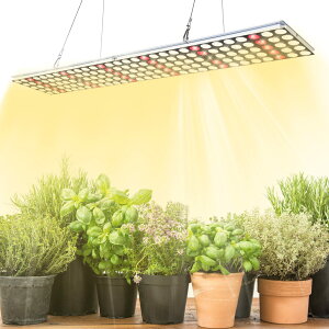 O[Cg LED tXyNg 150 LED \ AAAAϗtAAkACgA؍HAA͔|HAƒ؉AK[fjOp