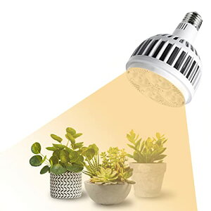 LEDA琬Cg 80W A琬Cg LED E26 tXyNg M 萫 蒷 ϗtA Cg ƒ؉ |pi k͔| Cg 琬 Cg A琬pv 