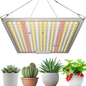 A琬Cg LED plF 256LED tXyNg  ʎqv ͔|v A琬 k͔|v ƒ؉ | ͔| ؍H ϗtA ȓd