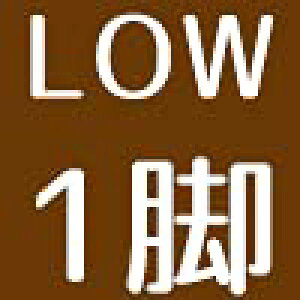 �A�E�g�h�A�`�F�A �N���V�b�N�`�F�A �ؐ��t���[�� × �R�b�g�� ���[�`�F�A �R���p�N�g���[ �r�L���b�v ���[�o�b�O�t �ω׏d100kg �A�E�g�h�A �L�����v