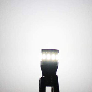 T10 LED �z���C�g ���� �L�����Z���[���� LED T10 �`�b�v18�A �|�W�V����/���C�Z���X�����v/�i���o�[��/���[�������v (2��)