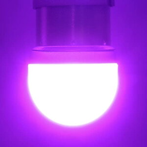 gbNYpB LED VO zCg ~iX[Zgou oX}[J[p gbNpi 2Zbg(zCg)