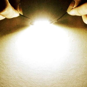 led T10 x28mm ���[�������v/�~���[���C�g/�Ǐ���/�h�[�����C�g12V�Ή� ���肵������ ���ɐ� 4SMD 3030�f�q �z���C�g�i10����j
