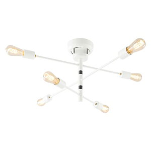 ڂƋ V[OCg VfA  ]\ 6 E26 VƖ Ɩ LEDdp JtF _CjO zCg