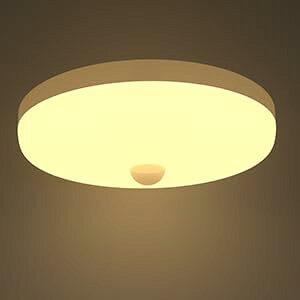 人感センサー 小型シーリングライト 昼白色 5000K 12W 1350lm 超薄型 人感センサーライト 玄関、廊下、洗面所、トイレ 照明器具 天井 取付簡単 Ra80演色性