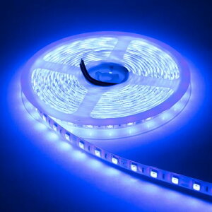 gbNYpB | lede[v lede[vCg 2m h 24v 5050SMD  P oCN I[goC IJ[ (zCg)