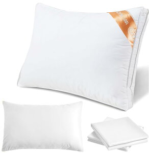  Jo[2 ܂ zedl   ې􂢉\ ̍\ ̓/̓/ãv[g (63*43*20CM zCg)