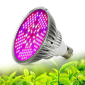 A琬LEDCg E26 tXyNg 100W vgCg A琬pv k͔|Cg pCg ȃGl  K[fjO ƒ؉ |pi (100W)