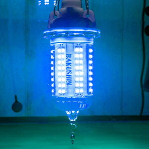 W [d R[hX [C u[   LED WCg CX W Px 30w  Cg [C pro