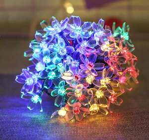 XgOCg \[[ C~l[VCg  7.5M50d 2gv100 LED O K[fCg 8[h h NX}XCg 胉Cg