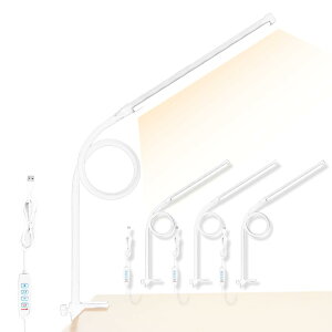 Tt@CA fXNCg LED NvCg ubNCg ڂɗD 2J[Iׂ X^hCg dCX^h ドCg 3iF g F  10iK 360x]A[ USB