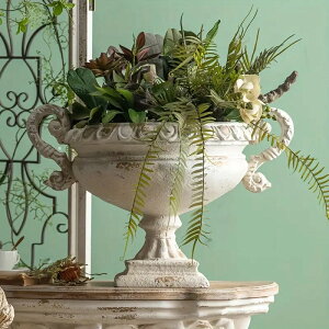 ԕr Be[W [} 􉽊w ͗l  킢 CeA zeCN AeB[N t[x[X zCg