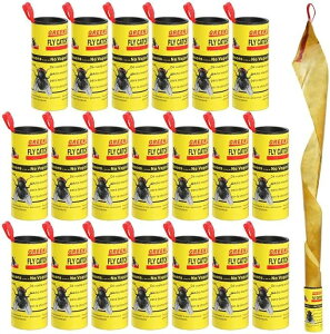 20{Zbg nGƂ胊{ S nG胊{^Cv nG莆XeBbL[Xgbv ͔Sߒ ߒV[g ʔS Q΍ RoG nGg ȒPt Q ߒ h nG 