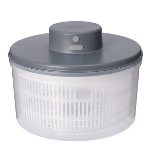 dT_Xsi[ ؐ؂ d T_Xsi[ ؂ ؂U ؂  ʕ Lb`c[  e ʕƖ؂̒E Ɋς (O[)