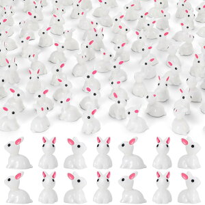 ~jETM66 ~j`AC[X^[oj[̒u ȃETM C[X^[GbOtB[AP[LfR[VAtFA[K[fAAEghAhXP[vI[ig