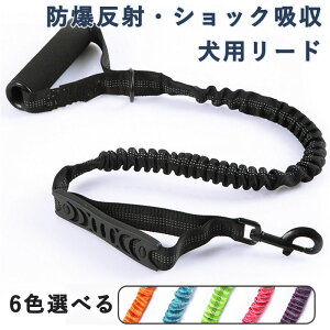 �h������ ���p���[�V�� ���p���[�h �V���b�N�z�� ��^�� �P�� �L�k �U�� �����[�h �L�k���[�h �g���[�j���O ��v ���߉\ ��^���p���[�h ���P�����[�h �����O���[�h �y�b�g�p�i ���S �ȒP