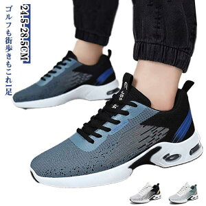 �S���t�V���[�Y �����Y �X�j�[�J�[ �X�p�C�N���X ���y�� �ʋC�� �G�A�[�\�[�� �N�b�V���������Q ������� ���L �����j���O�V���[�Y �E�H�[�L���O ����~�� �^���C �J�W���A�� �C �X�|�[�c�V