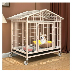 P[W t ybgP[W ^/^/^ hbON[g JS gC mCYh~ pP[W LX^[t g[t ^  gȒP   O ETM L 