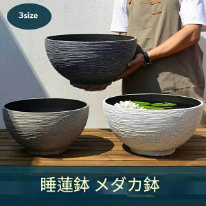 ������ ���@�� ��^ ���O���� ���_�J �� �v���X�`�b�N���̖͑��� ���@�� �y�� ��ɂ��� ��� ���_�J�� �����A���� ���� �r ���� ������ ��^�A�ؔ� ���O �A�� �r�I�g�[�v �e��