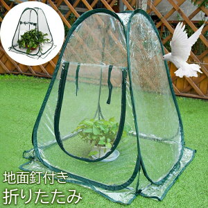 �~�j ���� �r�j�[���n�E�X �܂肽���� ���^ 70×70×80cm �A�� ��� �� �ۉ� �ƒ�p ���|�p �ȈՉ��� �J�悯 ��悯 ���悯 �K�[�f�j���O �� ���O �x�����_ PVC �n�ʓB�t�� �y�� �R���p�N�g ���[��