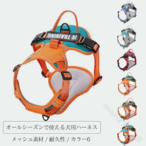 ���p �n�[�l�X ���^�� ��^�� ���� ���� ���[�h�Z�b�g �Z�b�g ���b�V���f�� �ʋC�����Q ���^���Ή� �x���g���߉� �E���ɂ��� �ϋv�����Q �U�� ���o�����p �J���o���L�x �I�[���V�[�Y���Ή�