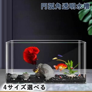 ������ �����ȃA�N�������� �~�ʊp���� �p�ې��� ������p���ԑ� �f�X�N�g�b�v �A�N�A���E�� �ƒ�p�g�����f�B �V���v�� �R���p�N�g �ƒ�p