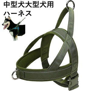 �� �n�[�l�X ���^�� ��^�� �p ���p�n�[�l�X ���� �ʋC�� �����Ȃ� ��������h�~ ���ˑf�� ���߉\ �U�� �P�� ���o�|��