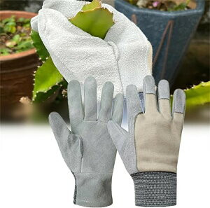 ���|�p��� ���v�� �K�[�f���O���[�u �o���p��� �ϐ��h �g�Q�h�~ �����h����Ȃ� ��v ����~�� �ʋC�������� �_��� �d���� ������ �o���p��� ��Ɨp �K�[�f�j���O�p�i