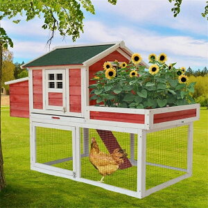 ؐ{ { { Op グK[fxbh GA Opt VR