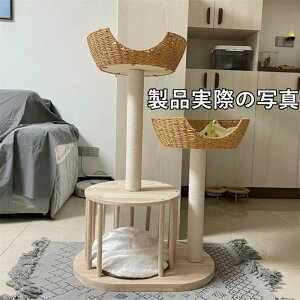 �L���b�g�^���[ �L���b�g�^���[ �����u�� �X���� ��^�L ���^ ���^ �~�j �������� �n�����b�N ������� ���킢�� �܂Ƃ� �������� �L�^���[ �˂� �܌��� ���R �q�L �V�j�A �ȃX�y�[�X �R���p