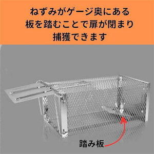 �l�Y�~�߂� �l���I �l�Y�~�߂� � �D�K �}�E�X �� �n���X�^�[ �������܂� �ߊl �t�����h���[ ������ �l���I ���C�u �P�[�W ���b�g