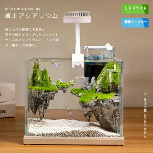 �V��̏� LED���C�g�t������ �A�N�A���E�� �t�B���^�[�|���v�t�� �� LED�Ɩ� ������ ��� �l������ �������� �������� �C���e���A ������� ���킢�� �K���X ���� �G�r �C�V �V�������v ���_�J