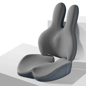 �ᔽ���J�[�V�[�g�N�b�V�����A�����o�[�T�|�[�g���t�� �^�]�Ȃ̃N�b�V�������������ĉ^�]���E������ �l�ԍH�w�Ԃ̍��z�c �N�b�V�����Z�b�g