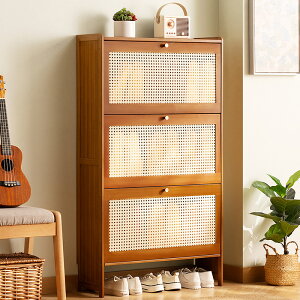 �����C���ƒ�p�ˌ������C�I�V���f��2024�����_��ȈՏȋ�ԑ��w����