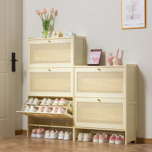 �N���[�������^�t���b�v���ʔ��ƒ�p�ˌ������V���f��2024�����������֌˒I��̌C�I