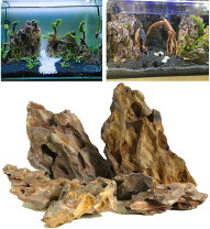 楽天市場】アクアリウム 黄虎石の通販