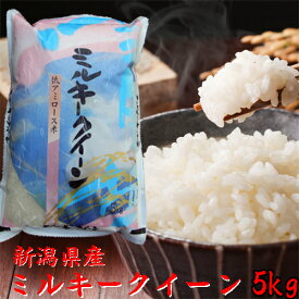 令和7年 新潟産 ミルキークイーン 5kg 送料無料 新潟米 白米 5キロ 農家直送 米 お米 5kg 精米