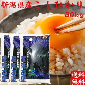 令和5年産 新潟産 コシヒカリ 30kg 送料無料 新潟 こしひかり 白米 30kg 米 新潟県産 コシヒカリ30キロ プレゼント付き 新潟産 まとめ買い 分搗き 産地直送 贈り物 ギフト 業務用米