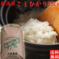 楽天市場】米 25キロの通販