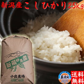 新米 令和5年 新潟米 こしひかり 無洗米 25kg 送料無料 新潟 こしひかり 米 新潟産 コシヒカリ 送料無料 新潟産コシヒカリ お米 無洗米 25キロ 無洗米 おいしいお米 美味しいお米 美味しい米 お取り寄せ 新潟県産 新潟県 米 産地直送