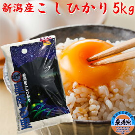 新米 令和7年 新潟 こしひかり 米 5kg 無洗米 新潟産 コシヒカリ 新潟米 コシヒカリデラックス 無洗米5キロ