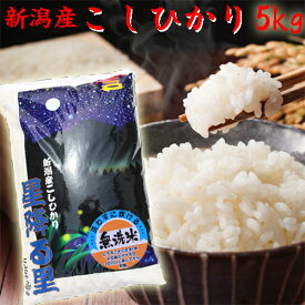 コシヒカリ 令和6年 新潟産 無洗米 5kg 新潟 こしひかり 5キロ 送料無料 ギフト こしひかり5キロ お米 コメ 新潟の米 農家直送 産地直送 コメ無洗米 お取り寄せ 美味しいお米 美味しい 新潟県産コシヒカリ 新潟こしひかり お米5キロ 6年度 おいしい 新潟県産 お祝い 内祝い