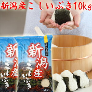 V ߘa7N V Ԃ 10kg 5kg×2   10L VY    VY V  Mtg