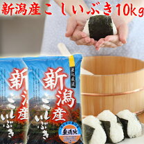 楽天市場】新米10キロの通販