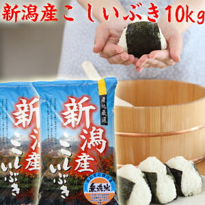  ߘa6N VY Ԃ  10L 10kg  5kg×2 V Ԃ  VY  Ԃ10kg ߘa6NY V10L ĐV10L 10L V 