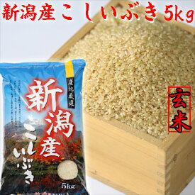 令和7年産 新潟県産 こしいぶき 玄米 5kg 新潟米 コシイブキ 米 5キロ 送料無料 こしいぶき5kg げんまい お取り寄せ 5キロこめ 新潟 コメギフト おいしい玄米 産地直送 5キロのお米 ギフト 美味しい お米 贈り物 新潟こしいぶき おいしいごはん 米5キロ ブランド米 新潟産