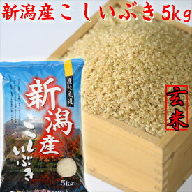 米 玄米 5kg 令和5年産 新潟県産こしいぶき 新潟産 新潟米 こしいぶき 5キロ 令和五年産 こしいぶき5kg 新潟米 げんまい 新潟県産 ギフト お取り寄せ おいしいお米 コメ 美味しいお米 お米5キロ 美味しい お米 米5キロ 産地直送 ブランド米 美味しいごはん 贈り物 プレゼント