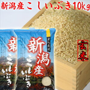 玄米10kg 送料無料の通販 価格比較 価格 Com
